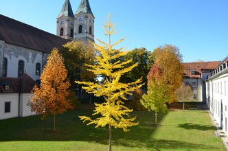 Festliches Bunt vor blauem Himmel im Basilikahof DSC_2986