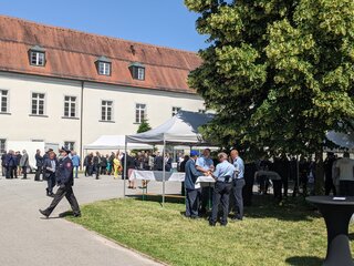 PXL_20230617_090613177