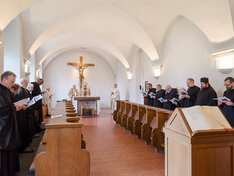 image-1146