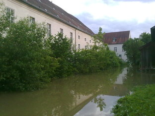 image-3825