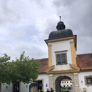 IMG_7708