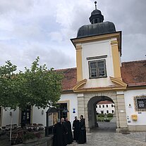 IMG_7708