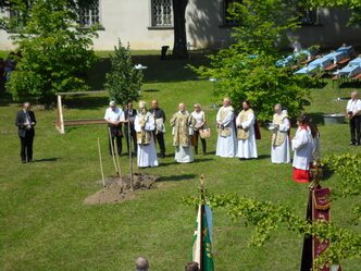im Basilikahof SAM_1660_01