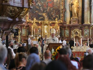 IMG_9201