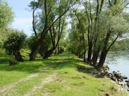 An der Donau anderDonau