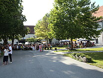 IMG_7049