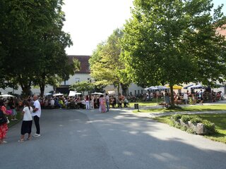 IMG_7049